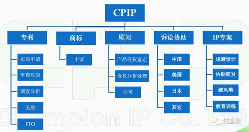 選擇紅堅果,用it賦能ip管理