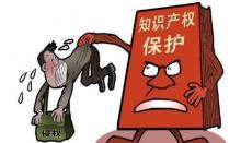 國家如何保護知識產權