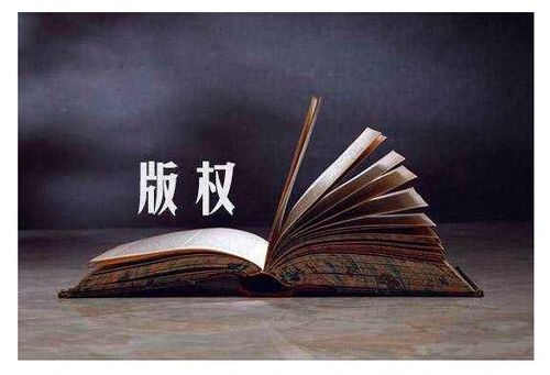 新聞中心 開(kāi)顏知識(shí)產(chǎn)權(quán)服務(wù)