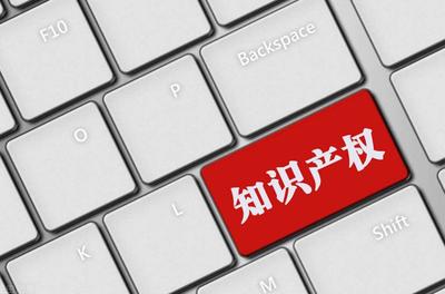 什么是知識產權板塊?